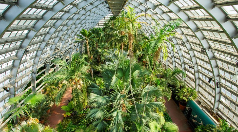 Garfield Park Conservatory, United States